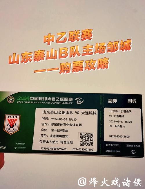 世界杯外围赛门票购买指南与提醒